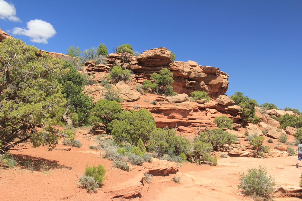Outlook