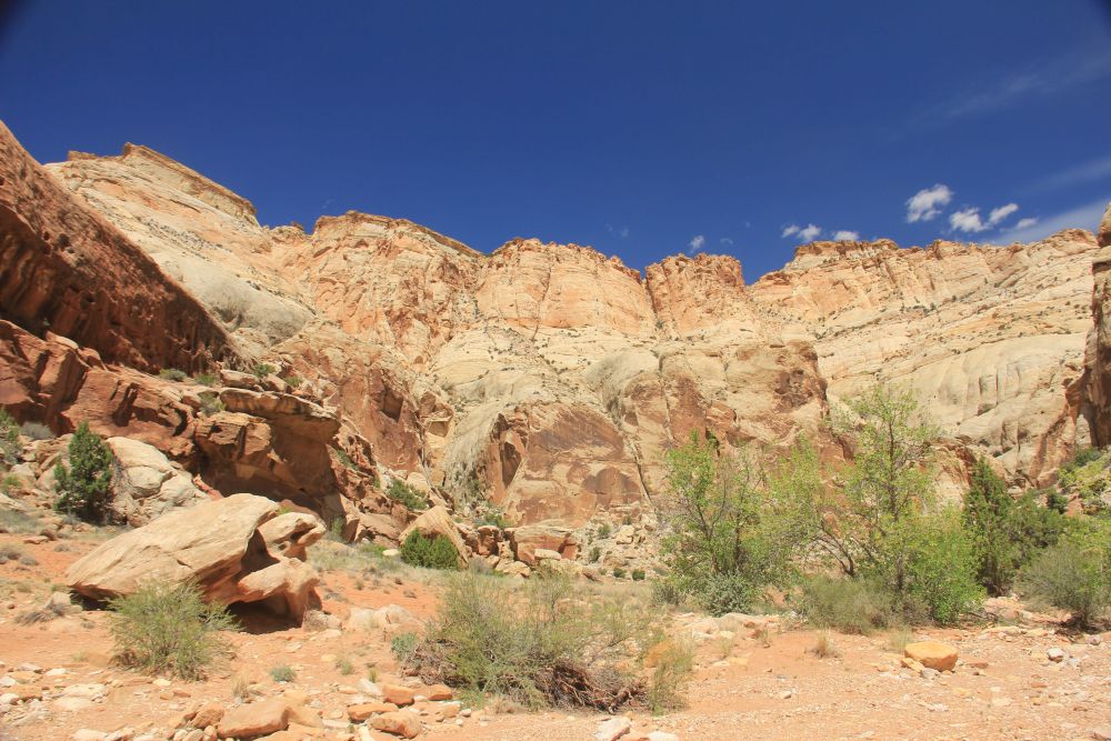 Outlook