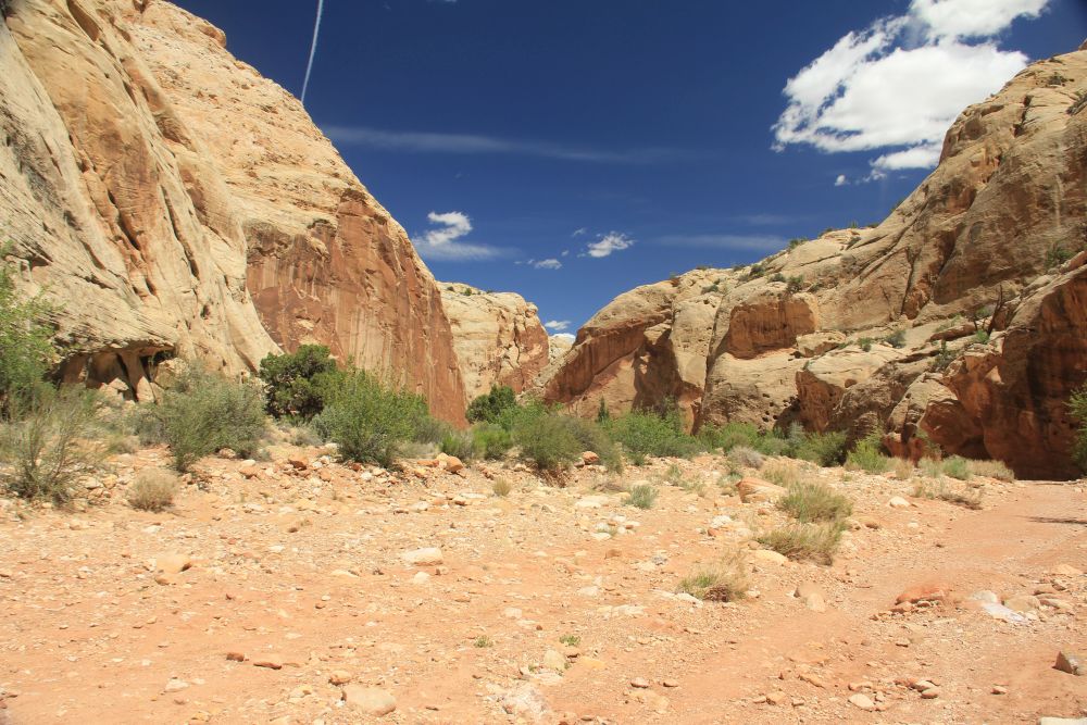 Outlook
