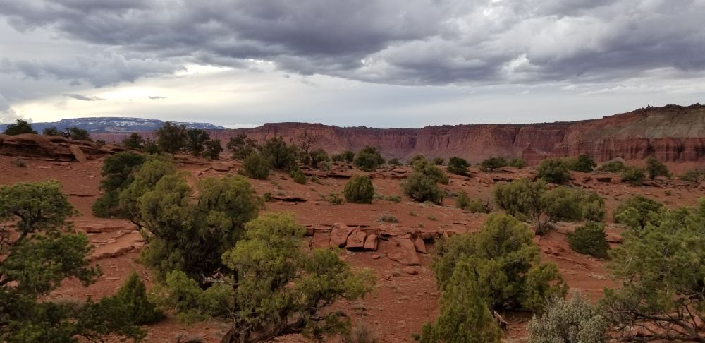 Outlook