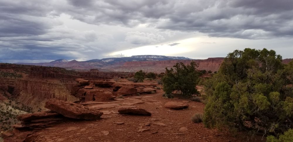 Outlook