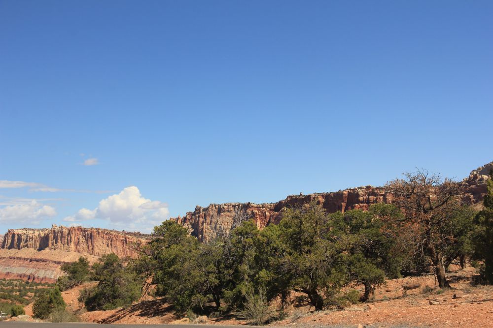 Outlook