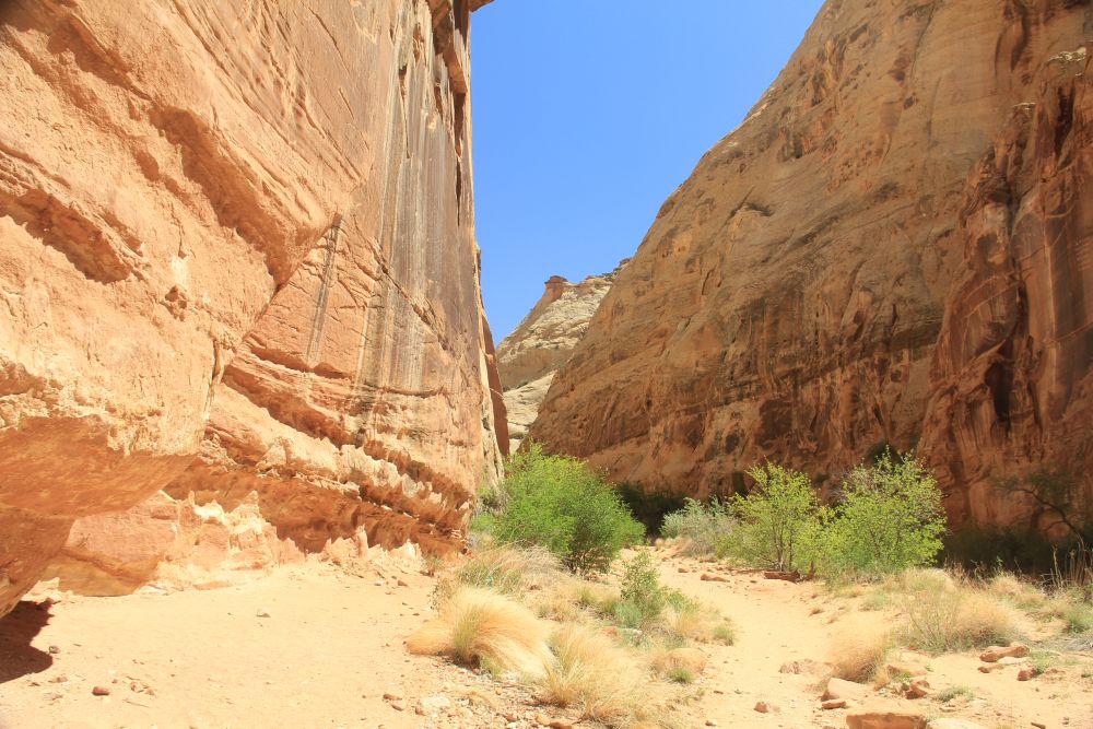 Outlook