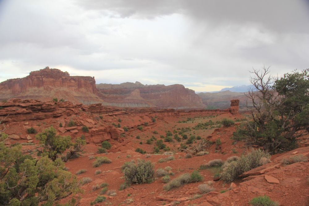 Outlook