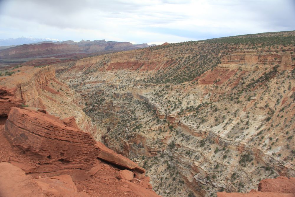 Outlook