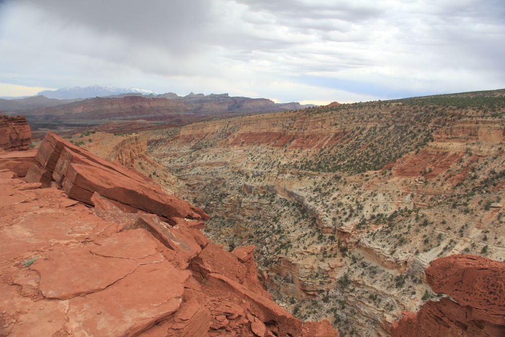 Outlook