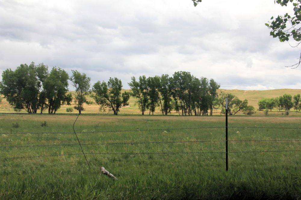 Outlook