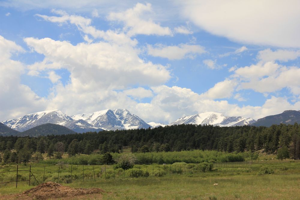 Outlook