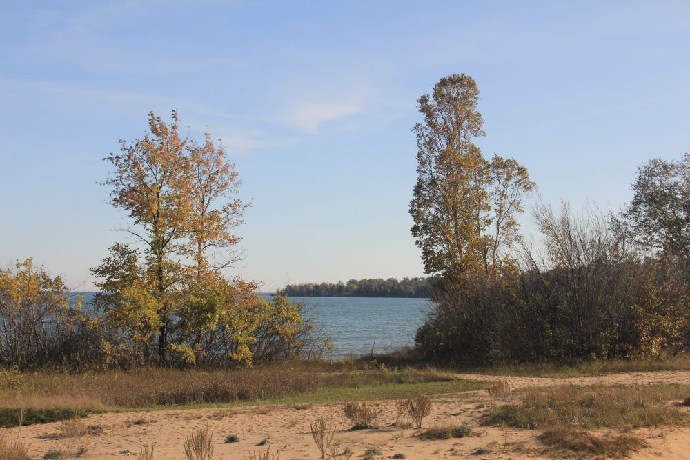 Outlook