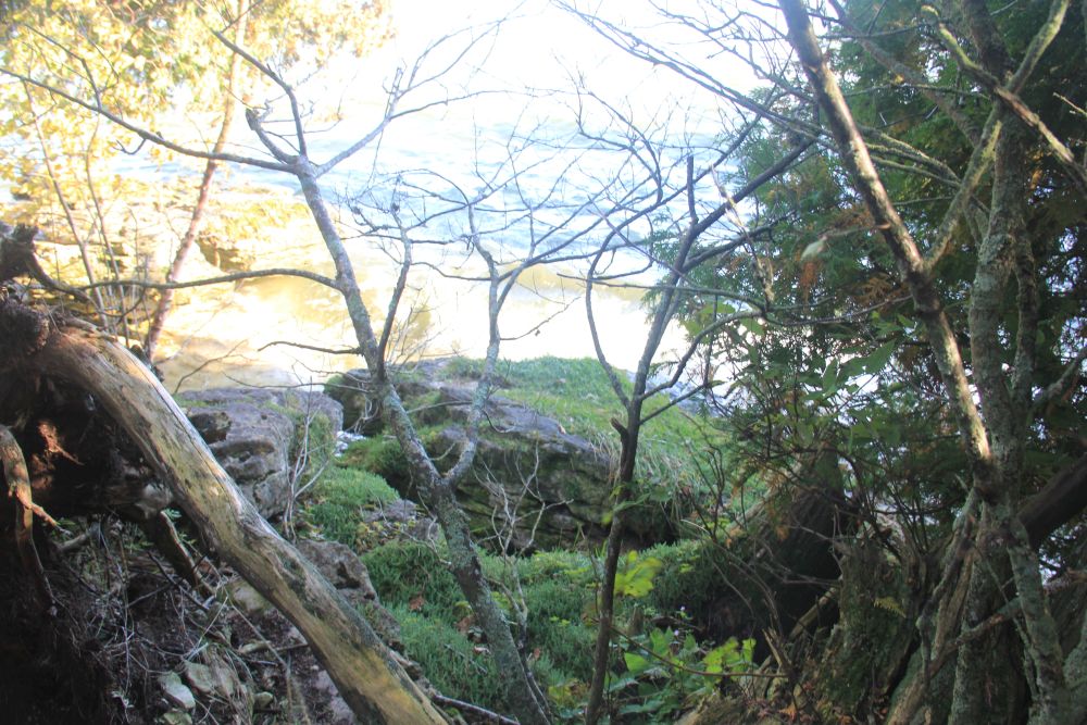 Outlook