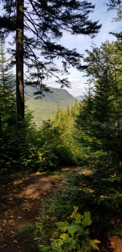 Outlook