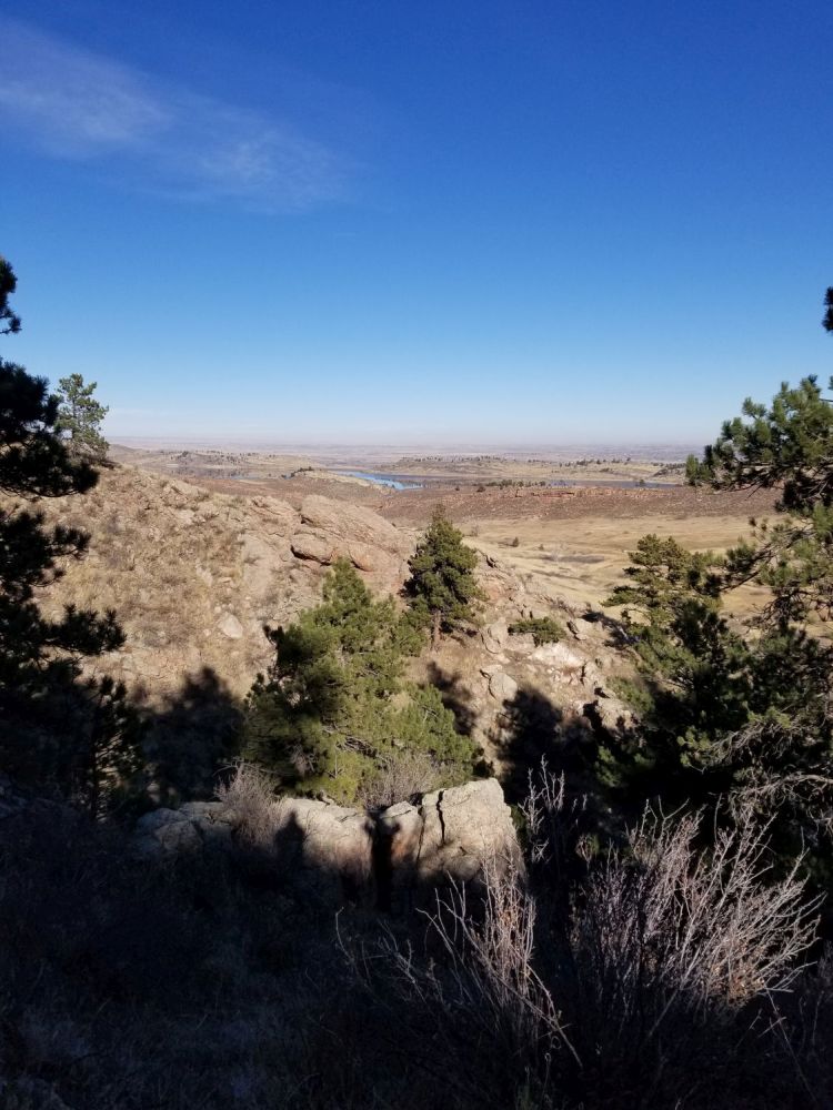 Outlook