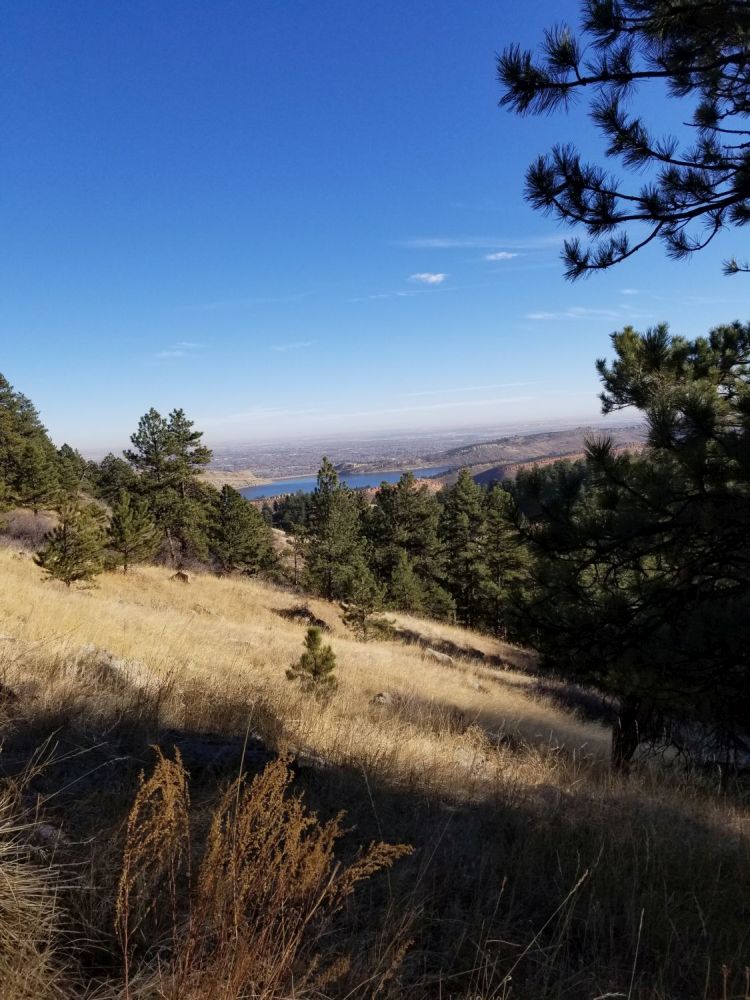 Outlook