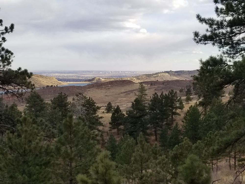 Outlook