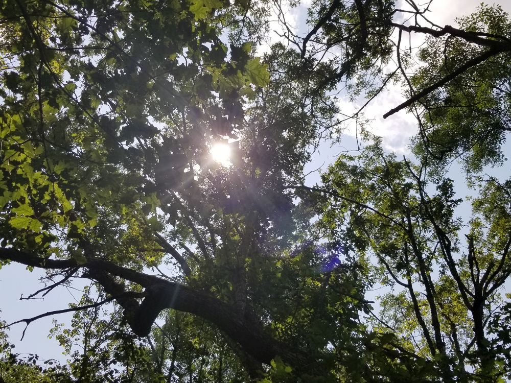 Outlook
