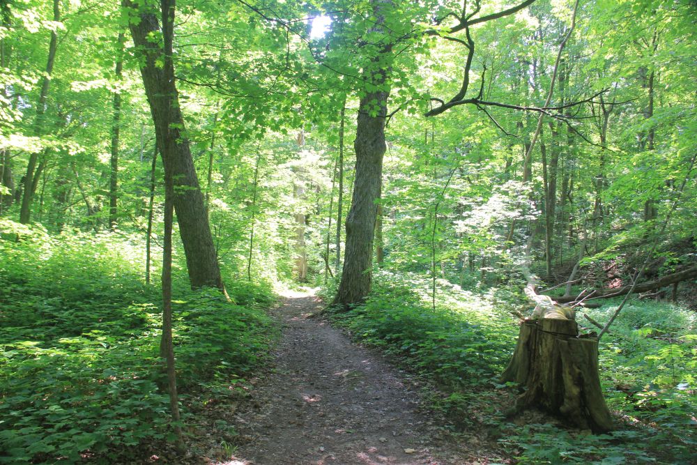 Outlook