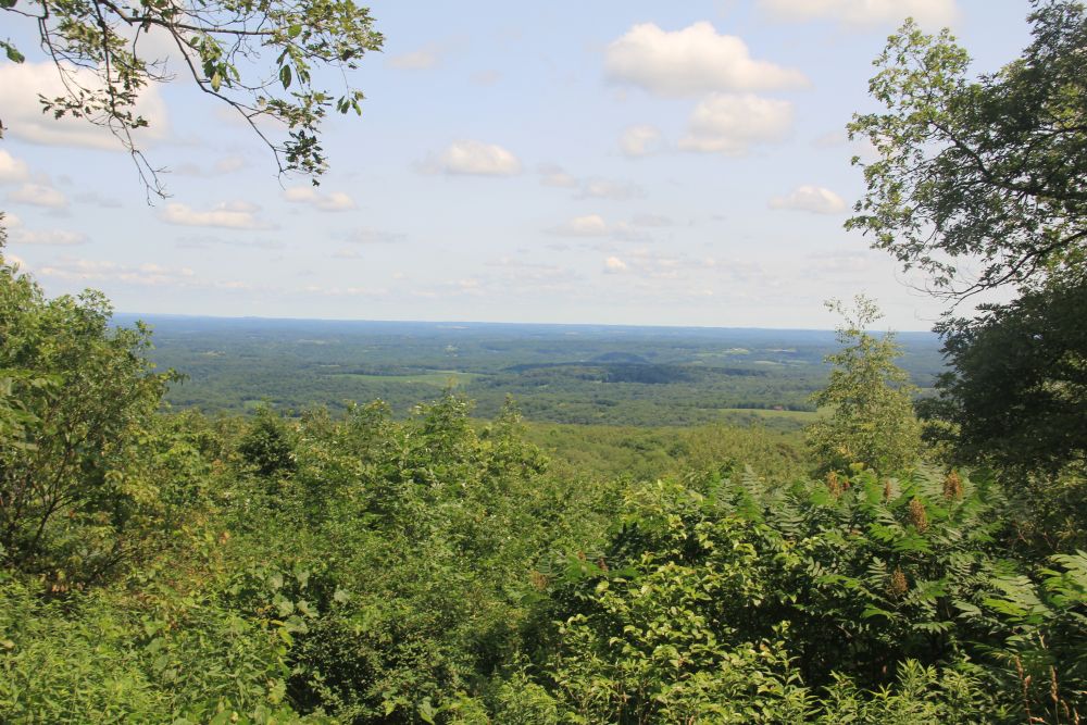 Outlook