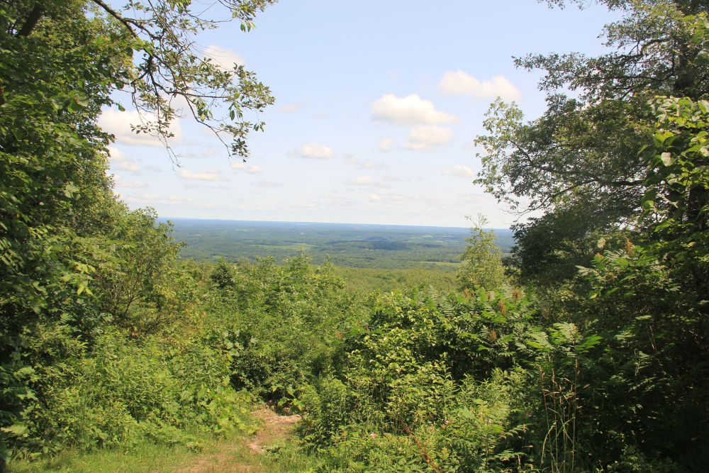 Outlook