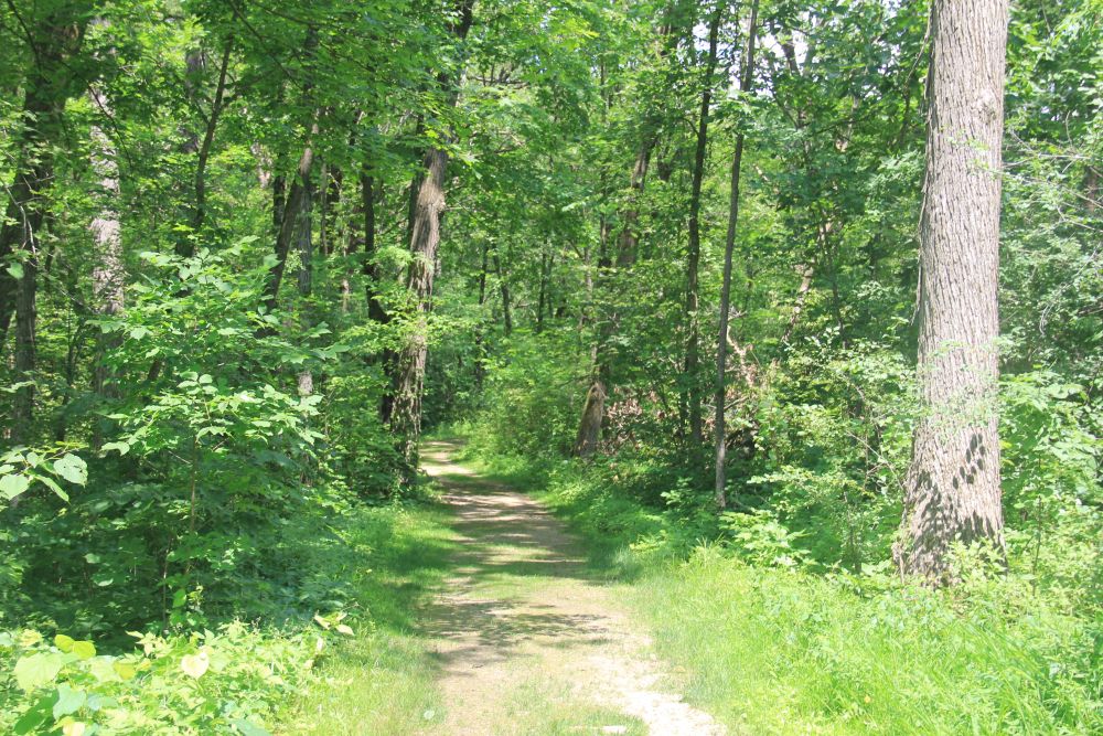 Outlook