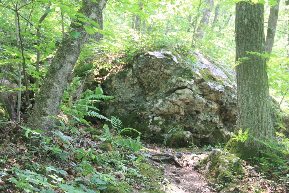 Outlook