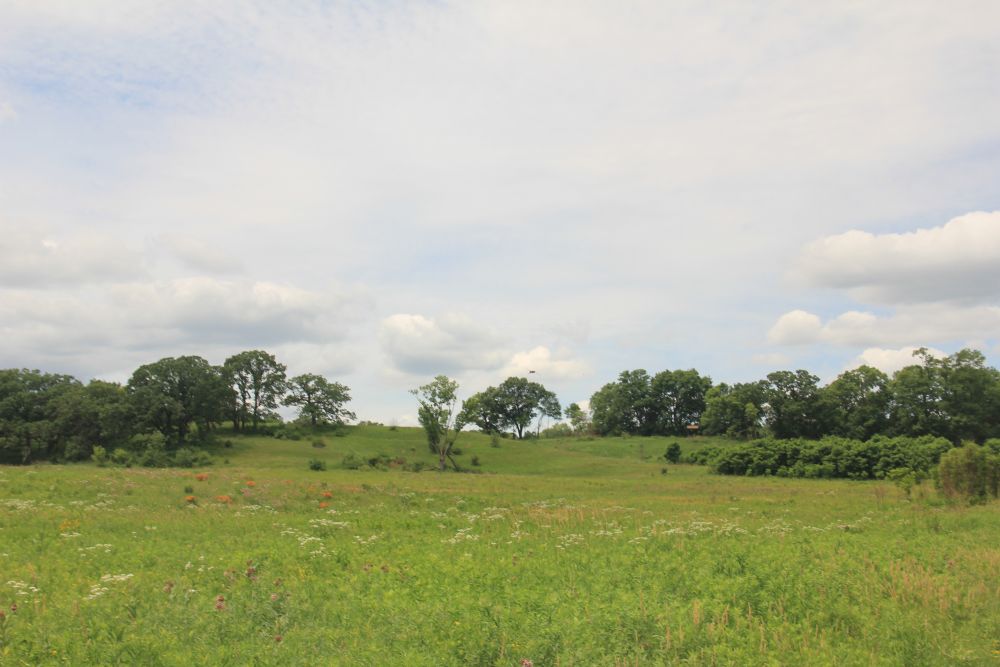 Outlook
