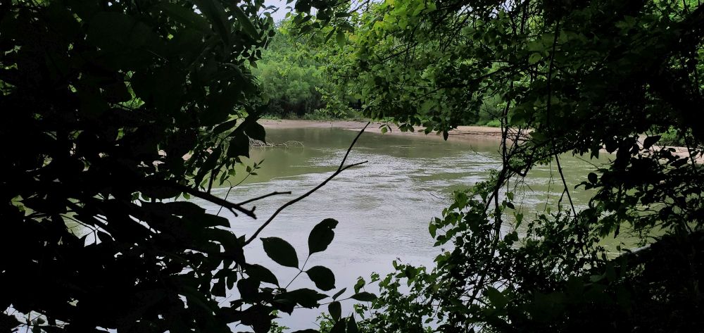 Outlook