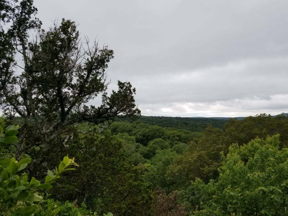 Outlook