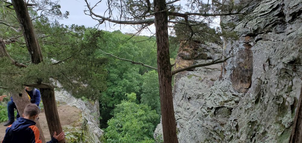Outlook