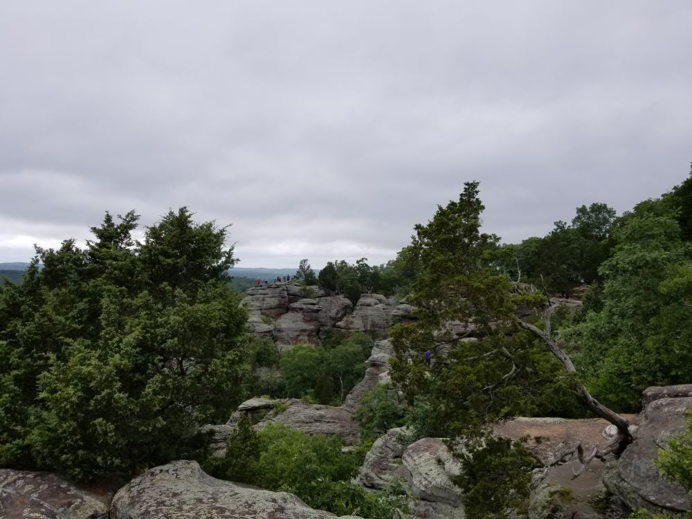 Outlook