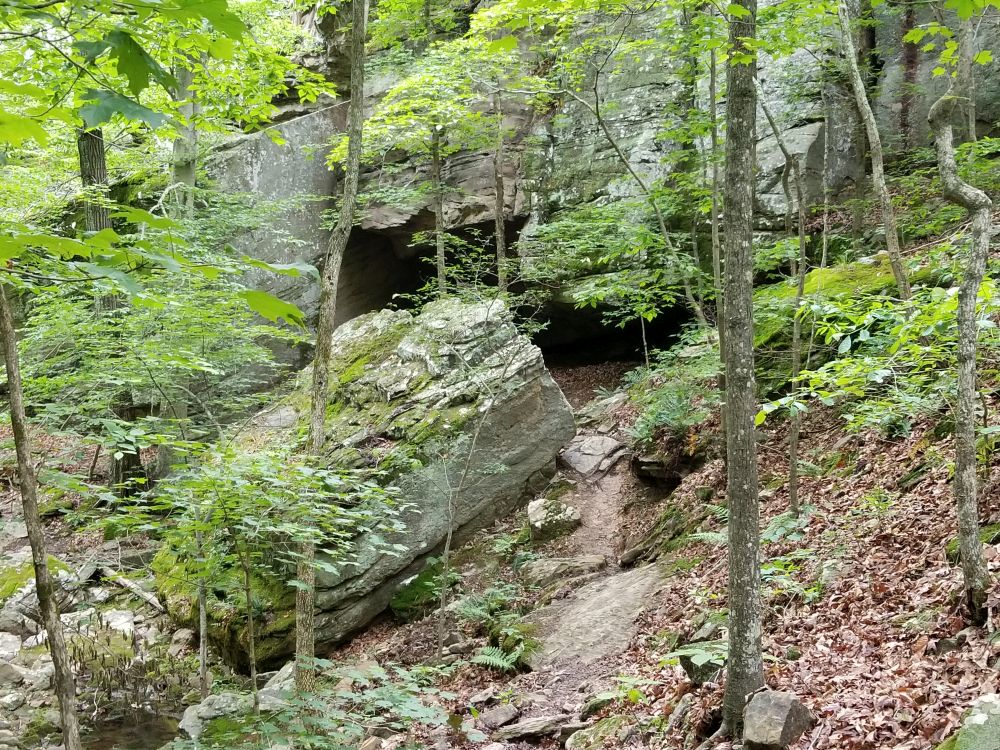 Outlook