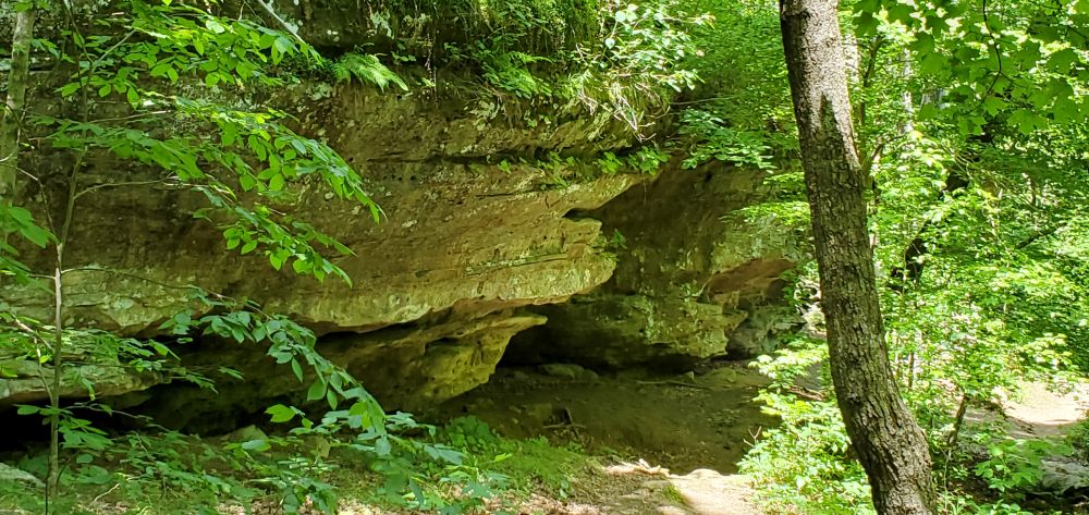 Outlook
