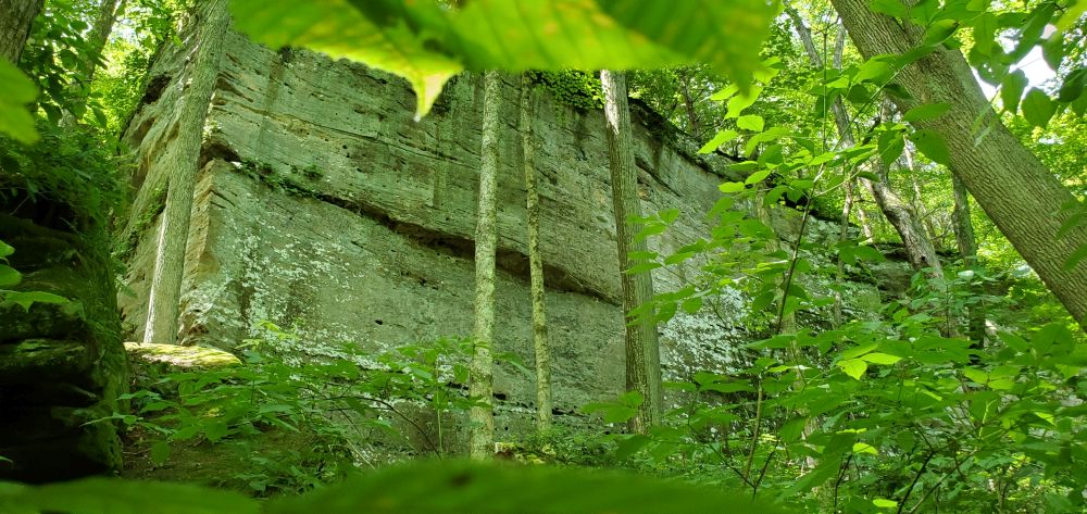 Outlook