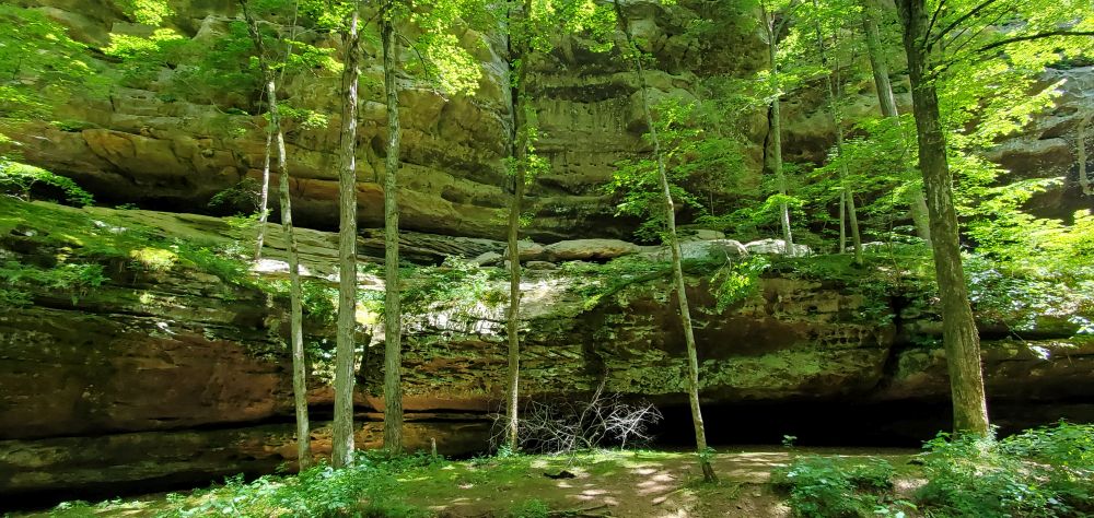 Outlook