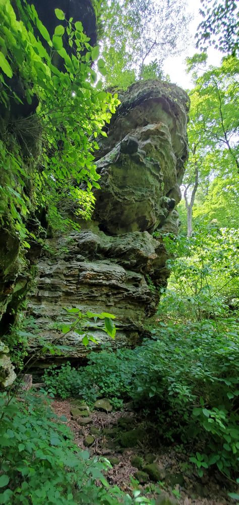 Outlook