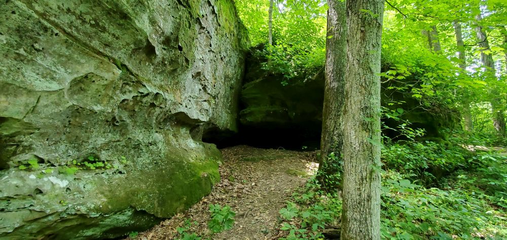 Outlook