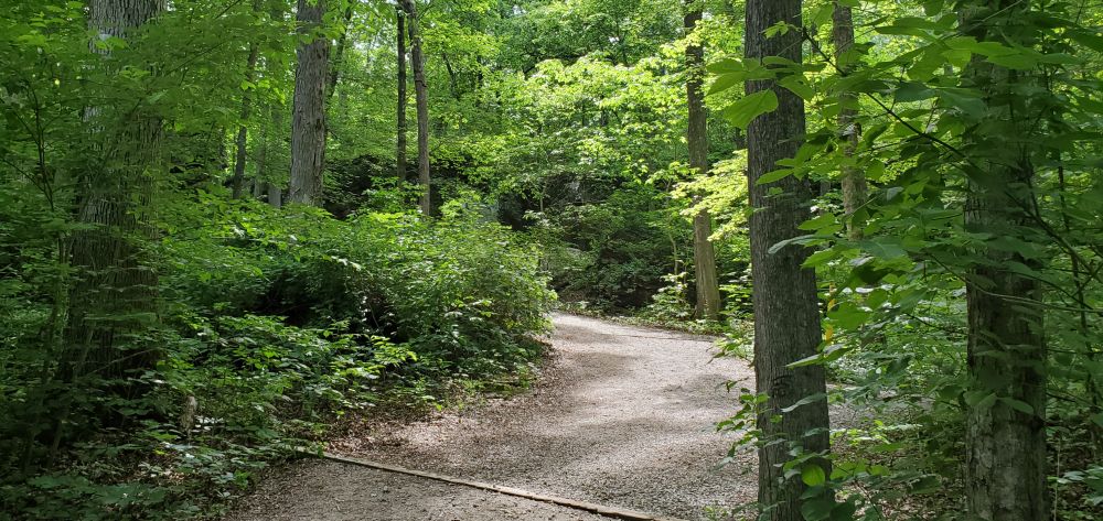 Outlook