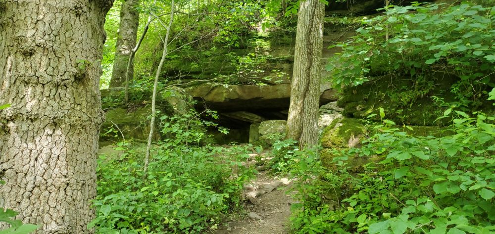Outlook