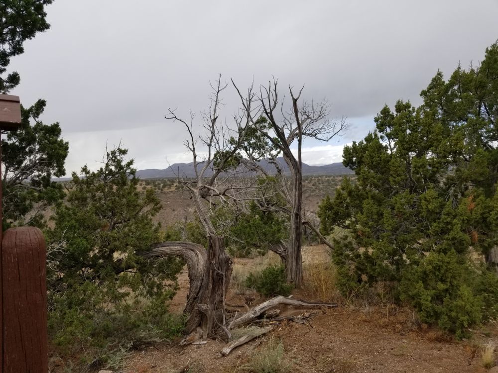 Outlook