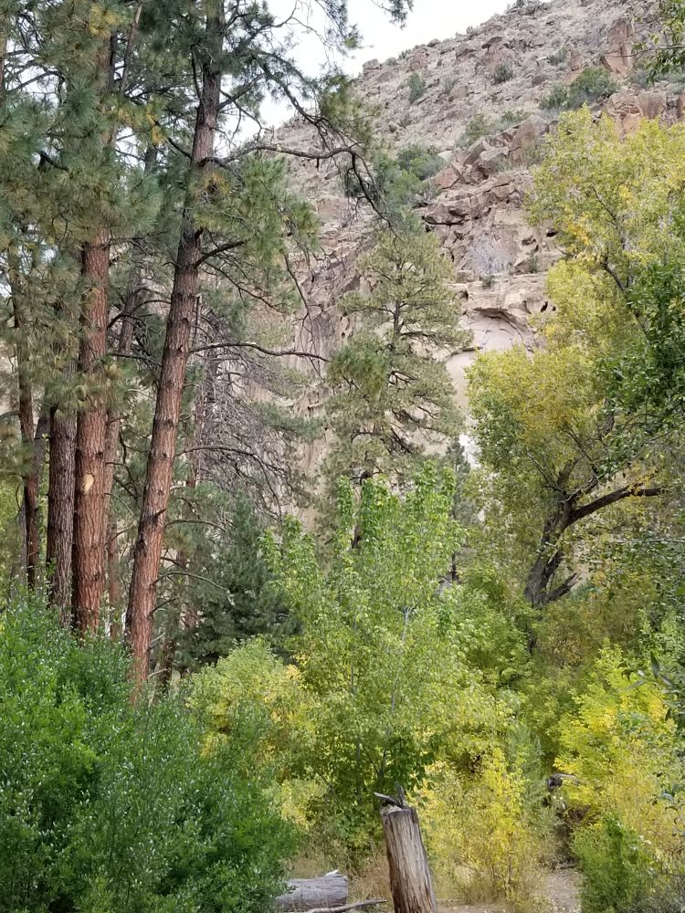 Outlook