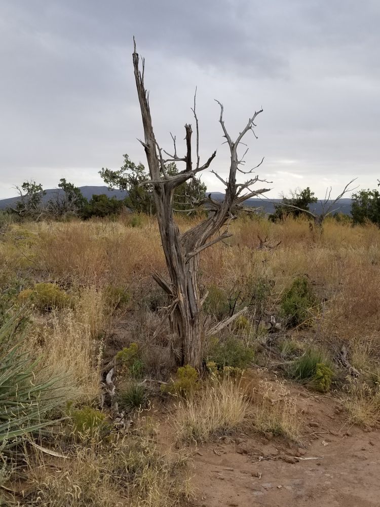 Outlook