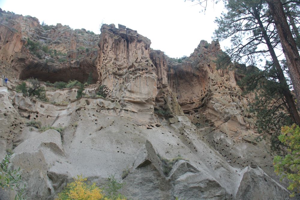 Outlook