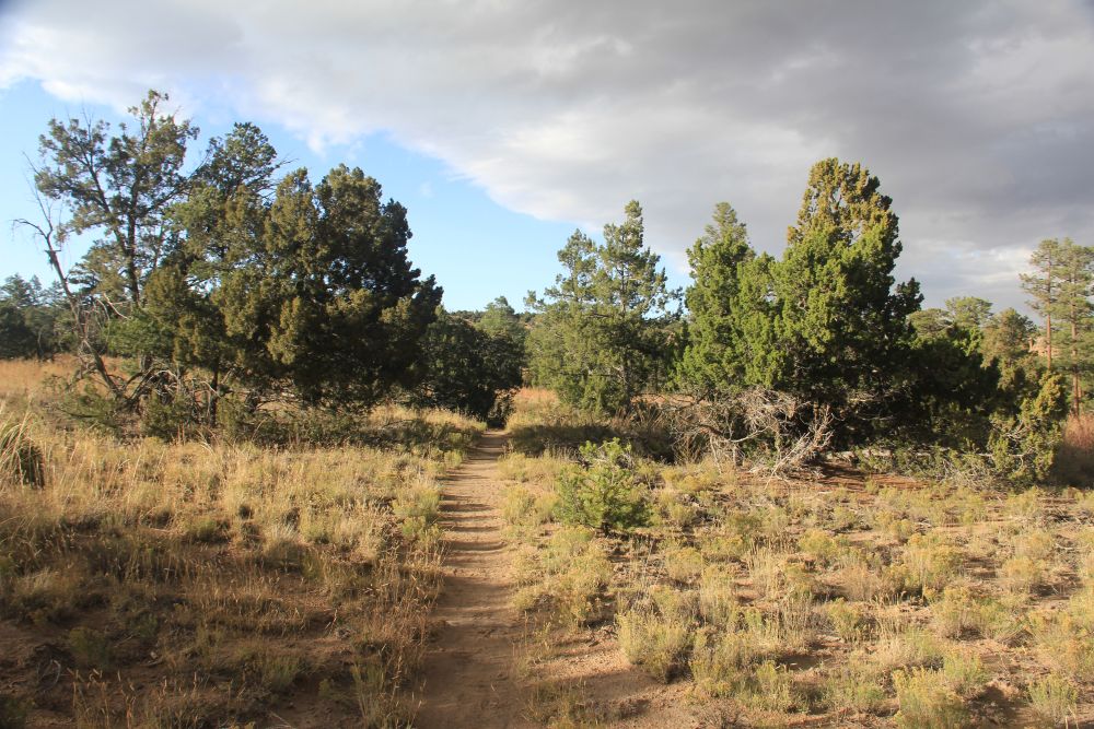 Outlook