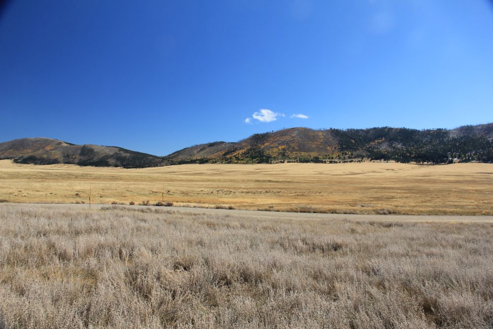 Outlook