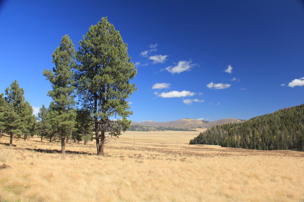 Outlook