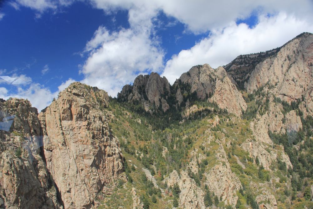 Outlook