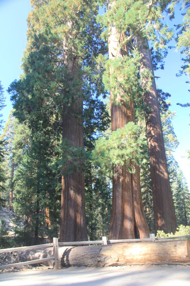 Outlook
