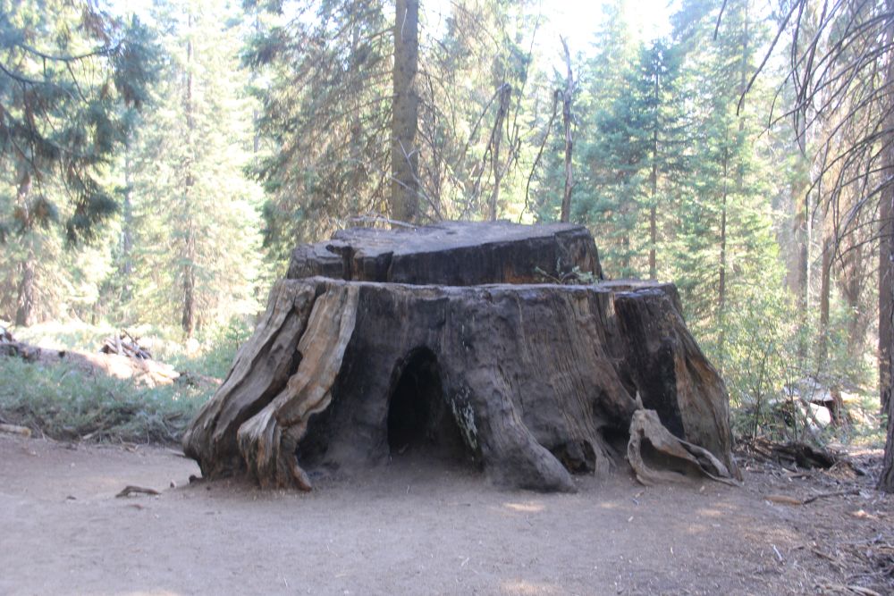 Outlook