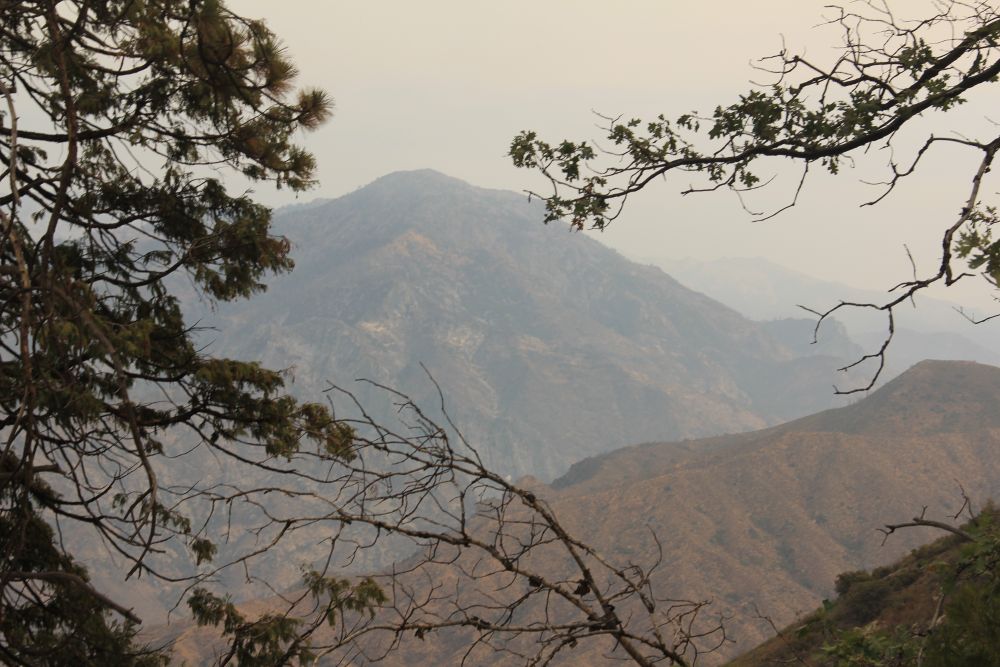 Outlook
