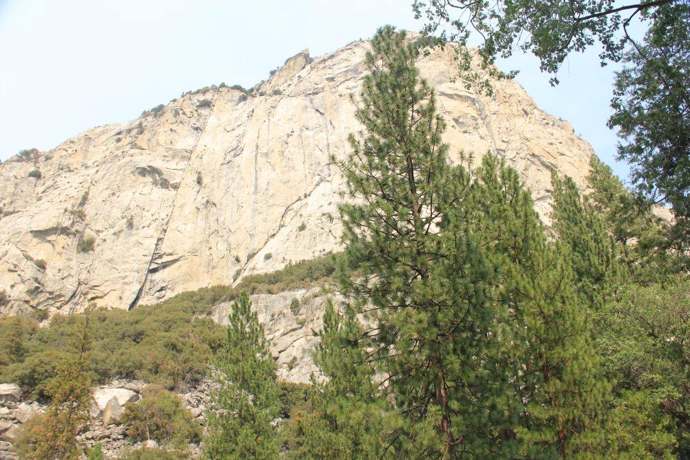 Outlook