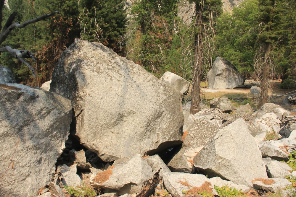 Outlook
